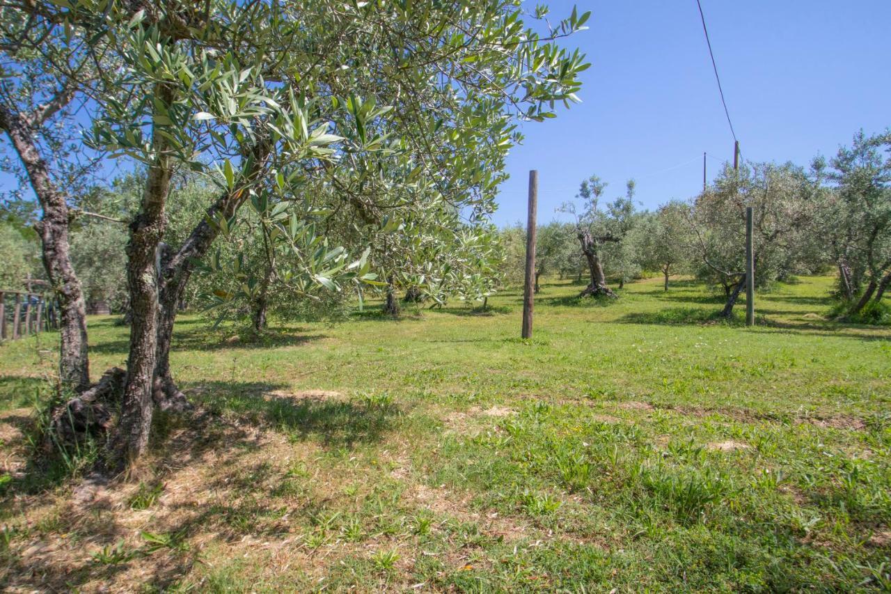 Agriturismo Filettro Vila Volterra Exterior foto