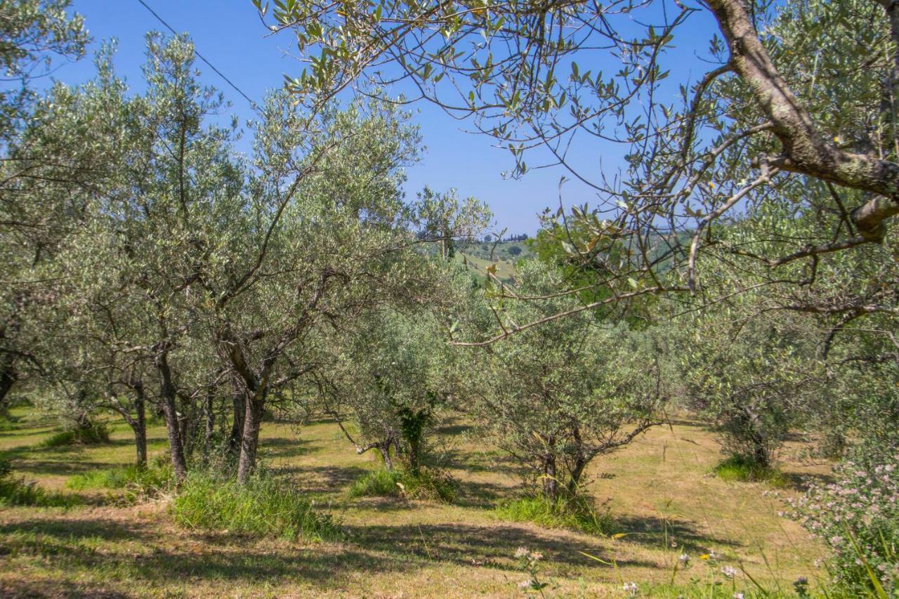 Agriturismo Filettro Vila Volterra Exterior foto