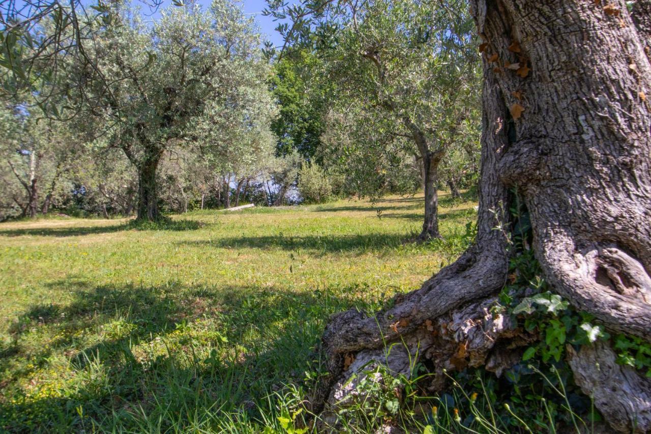 Agriturismo Filettro Vila Volterra Exterior foto